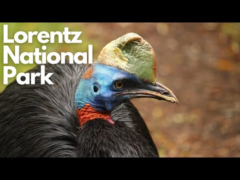Exploring the Untamed Beauty of Lorentz National Park, Indonesia