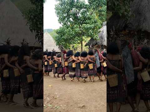 Discover the Living Culture of Alor
